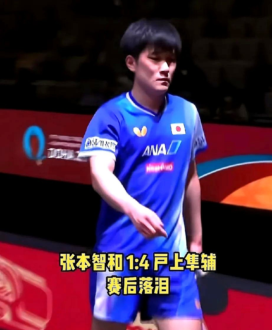 比利时乒乓球队强势英国乒乓球队，张本智和送出助攻的简单介绍