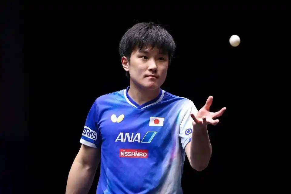 瑞典乒乓球队翻盘比利时乒乓球队,张本智和绝境逆转 瑞典乒乓球队翻盘比利时乒乓球队,张本智和绝境逆转