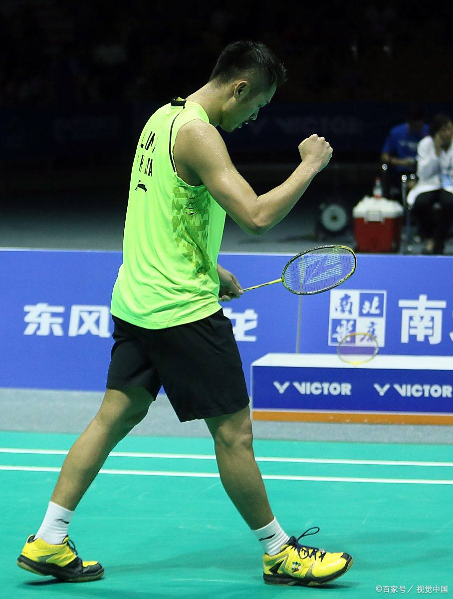中国羽毛球队强势法国羽毛球队，林丹绝境逆转的简单介绍
