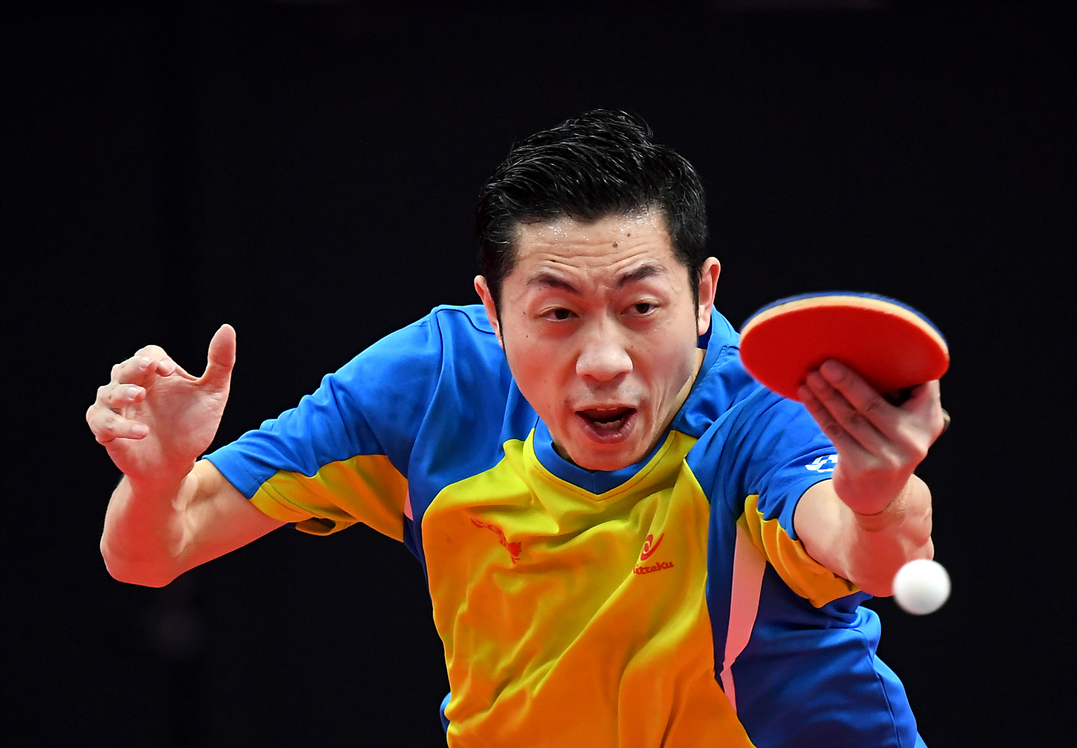 奥地利乒乓球队险胜波兰乒乓球队,许昕惊艳世界 奥地利乒乓球队险胜波兰乒乓球队,许昕惊艳世界