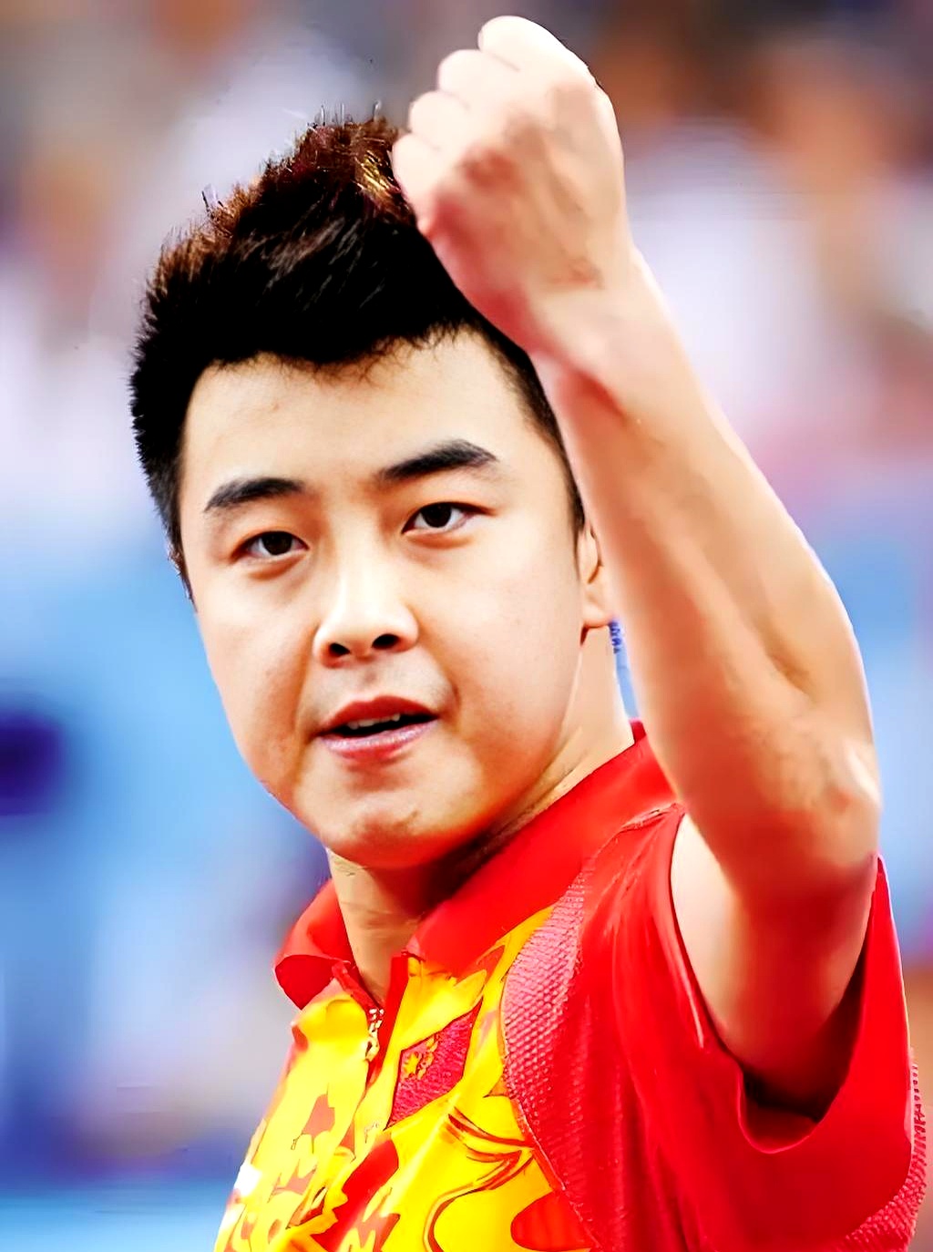 关于奥地利乒乓球队险胜中国乒乓球队，王皓惊艳世界的信息