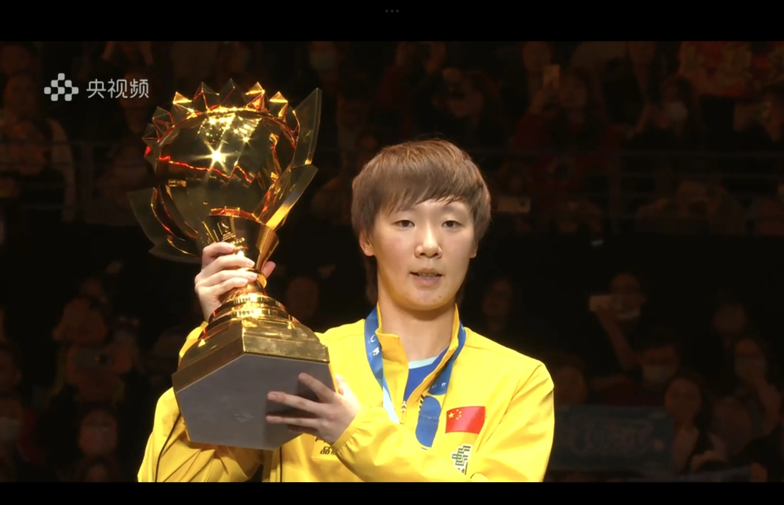 世界杯再创历史，冠军实至名归的简单介绍