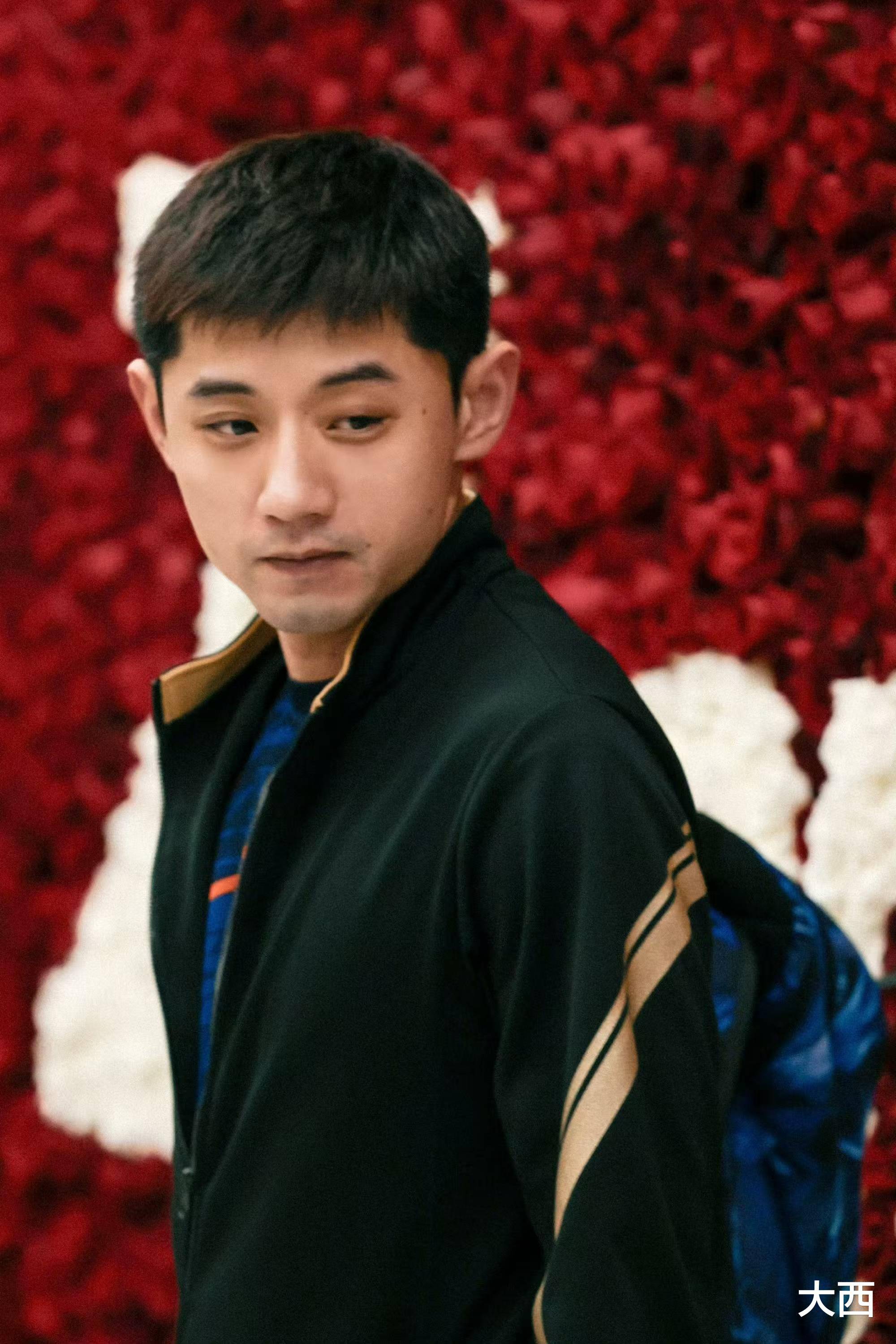 关于奥地利队横扫日本队，张继科高光表现的信息