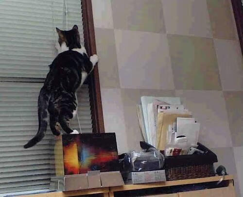 一锤定音！马琳决胜局完美控场，中国队轻取印尼展团体赛统治力