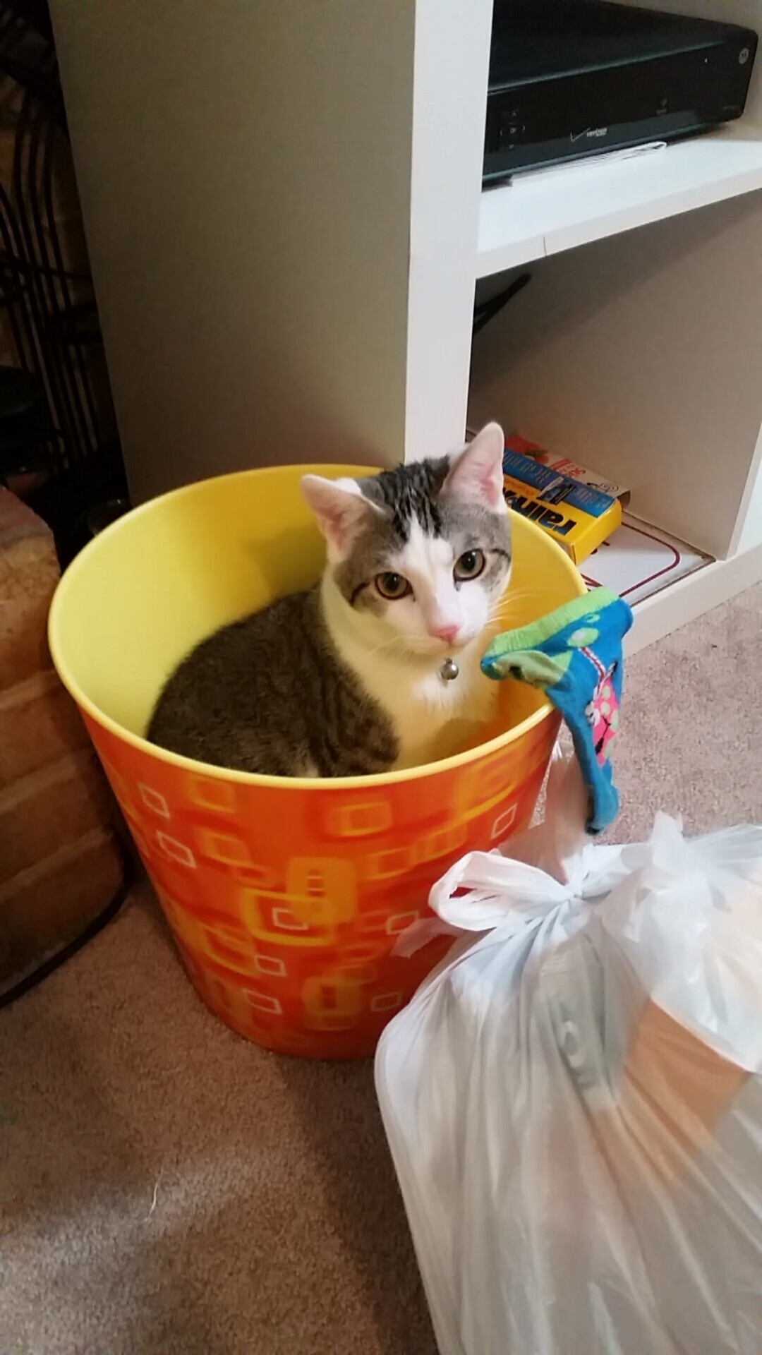 从温网失意到戴维斯杯逆转，纳达尔如何将破碎之地锻造成救赎之杯