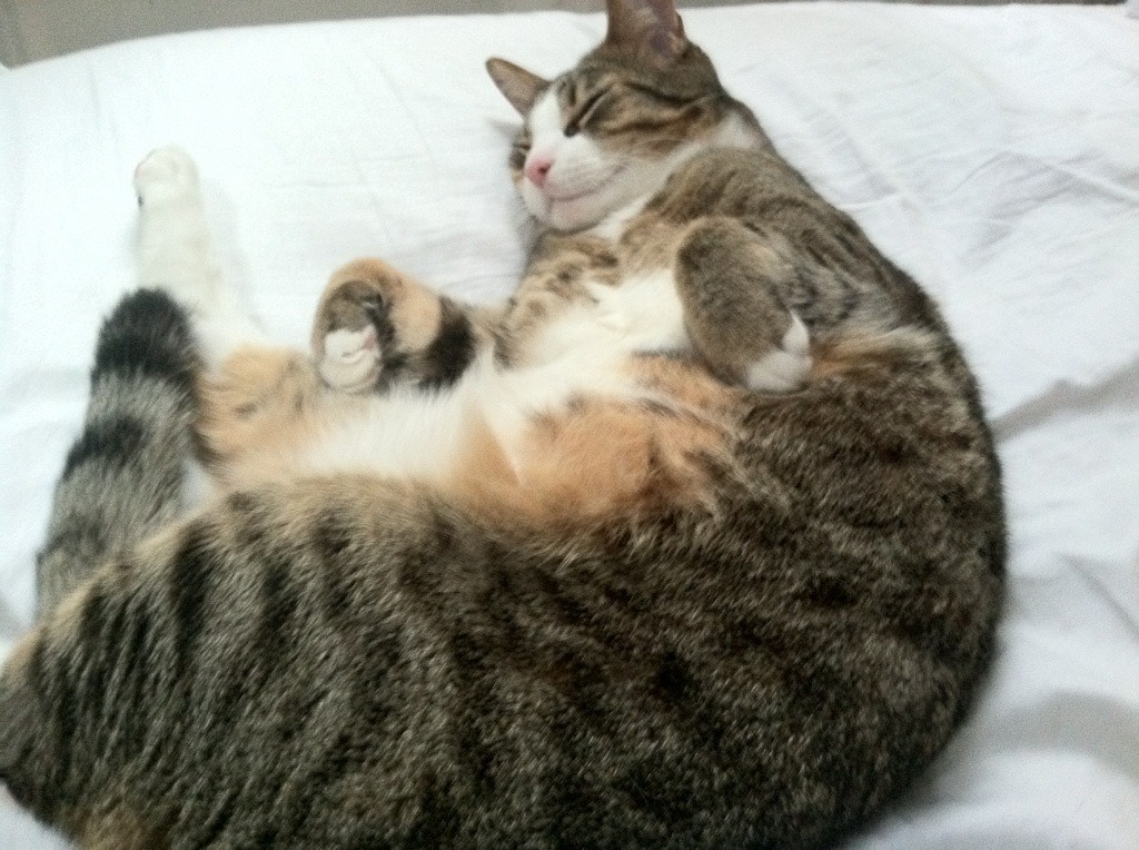 开云体育官网-红牛内战横扫，但塞恩斯的纪录为谁敲响警钟？