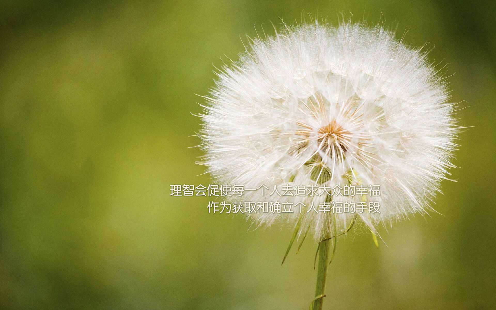 新大陆的足球宣言，当格纳布里在巴黎的夜晚绘下星条旗