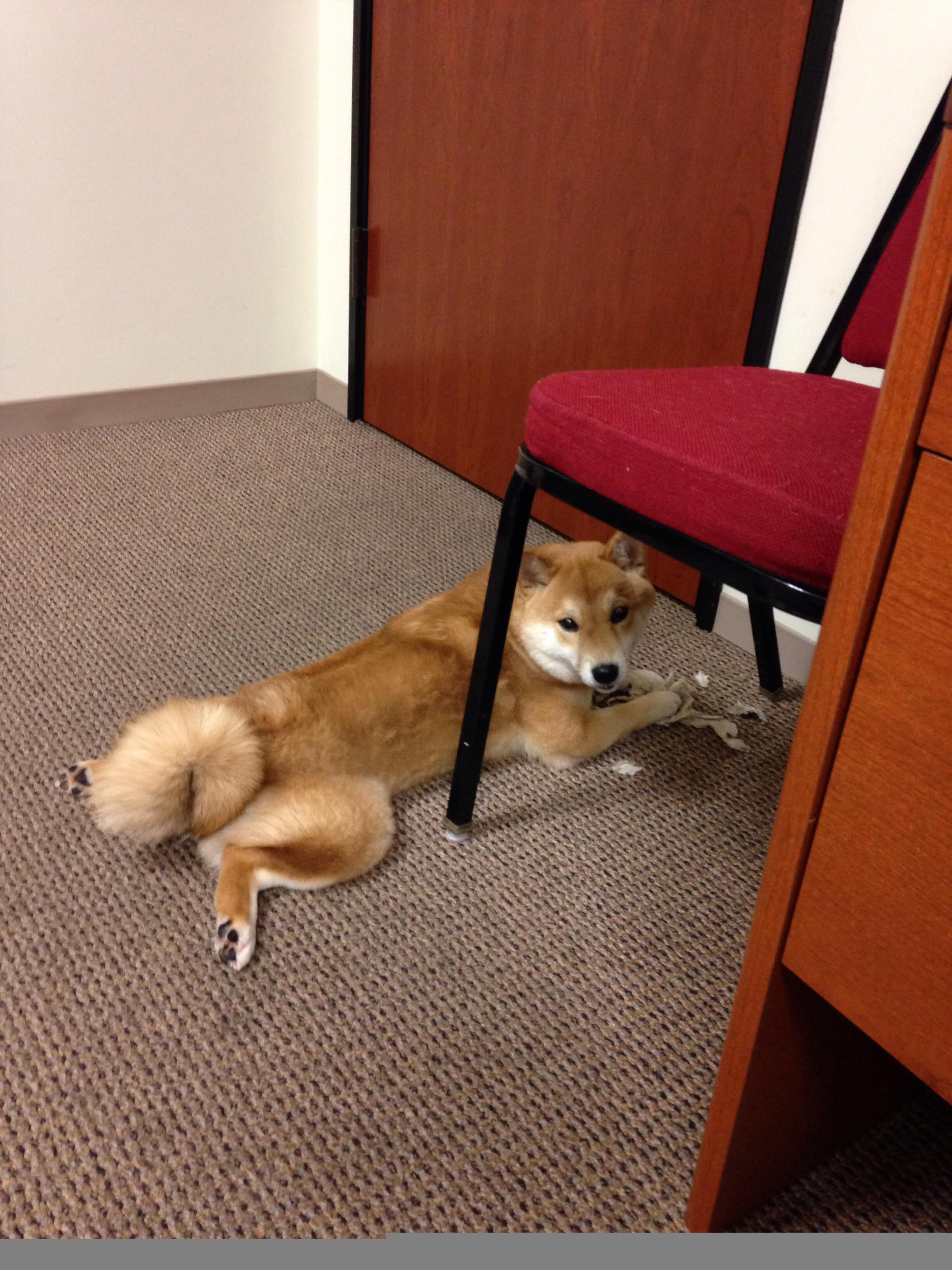 同一片天空，两个传奇剧本，公牛翻盘与詹姆斯破纪录的24小时