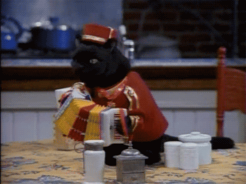 球场厮杀与孤独王座，体育之镜里的生存寓言