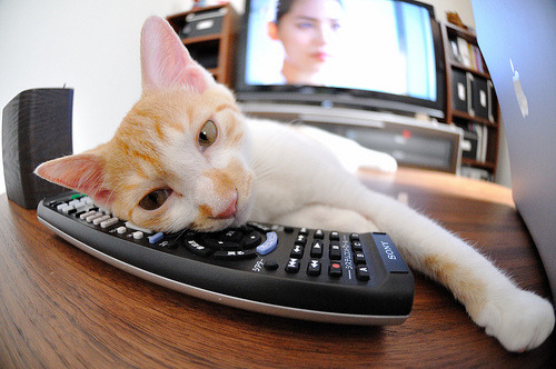 雷诺冰火风暴席卷摩纳哥，勒克莱尔在骄阳下将梅赛德斯送入阴影