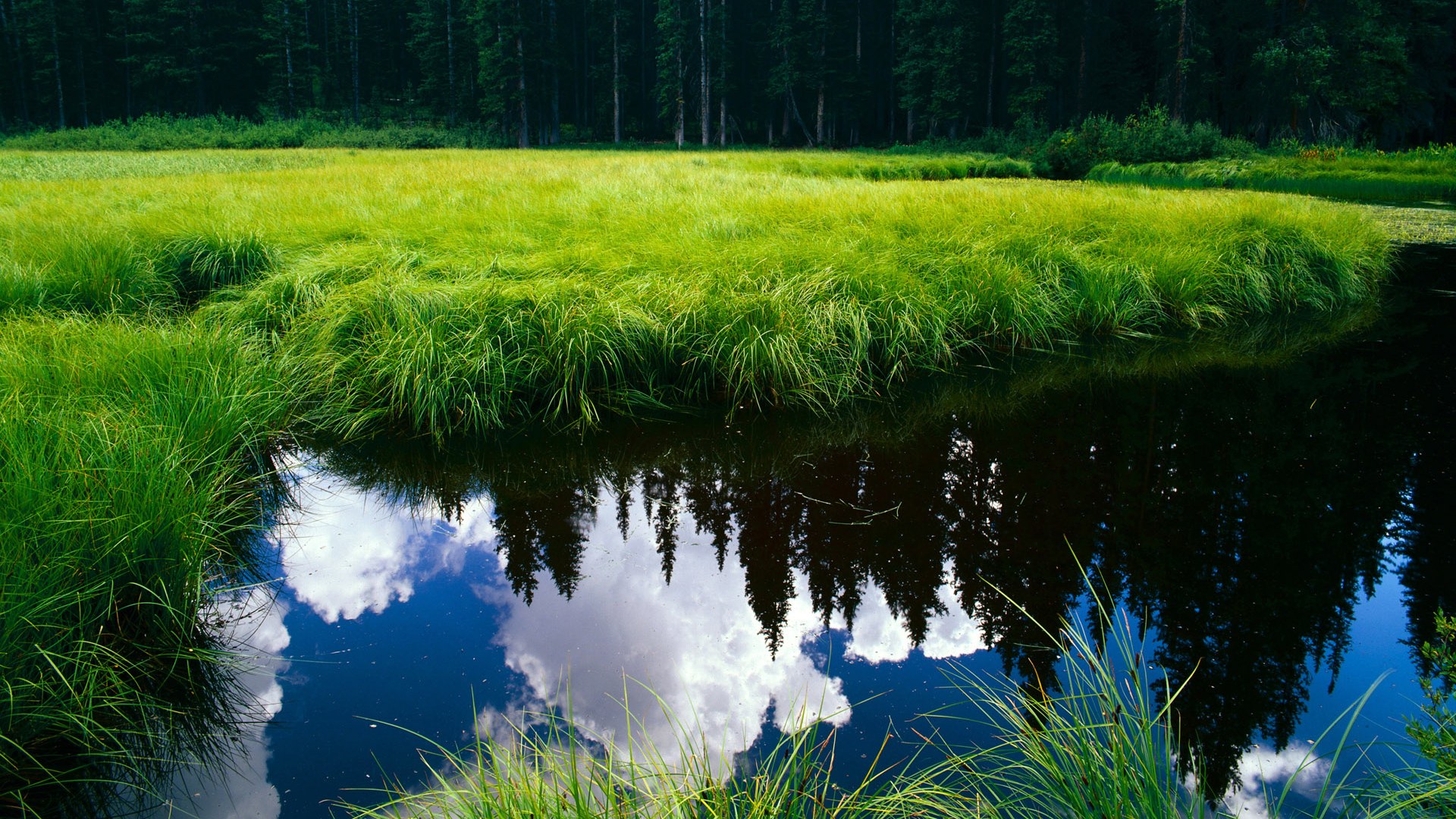 统治级表现，拉塞尔全场主宰，哈斯车队完胜雷诺
