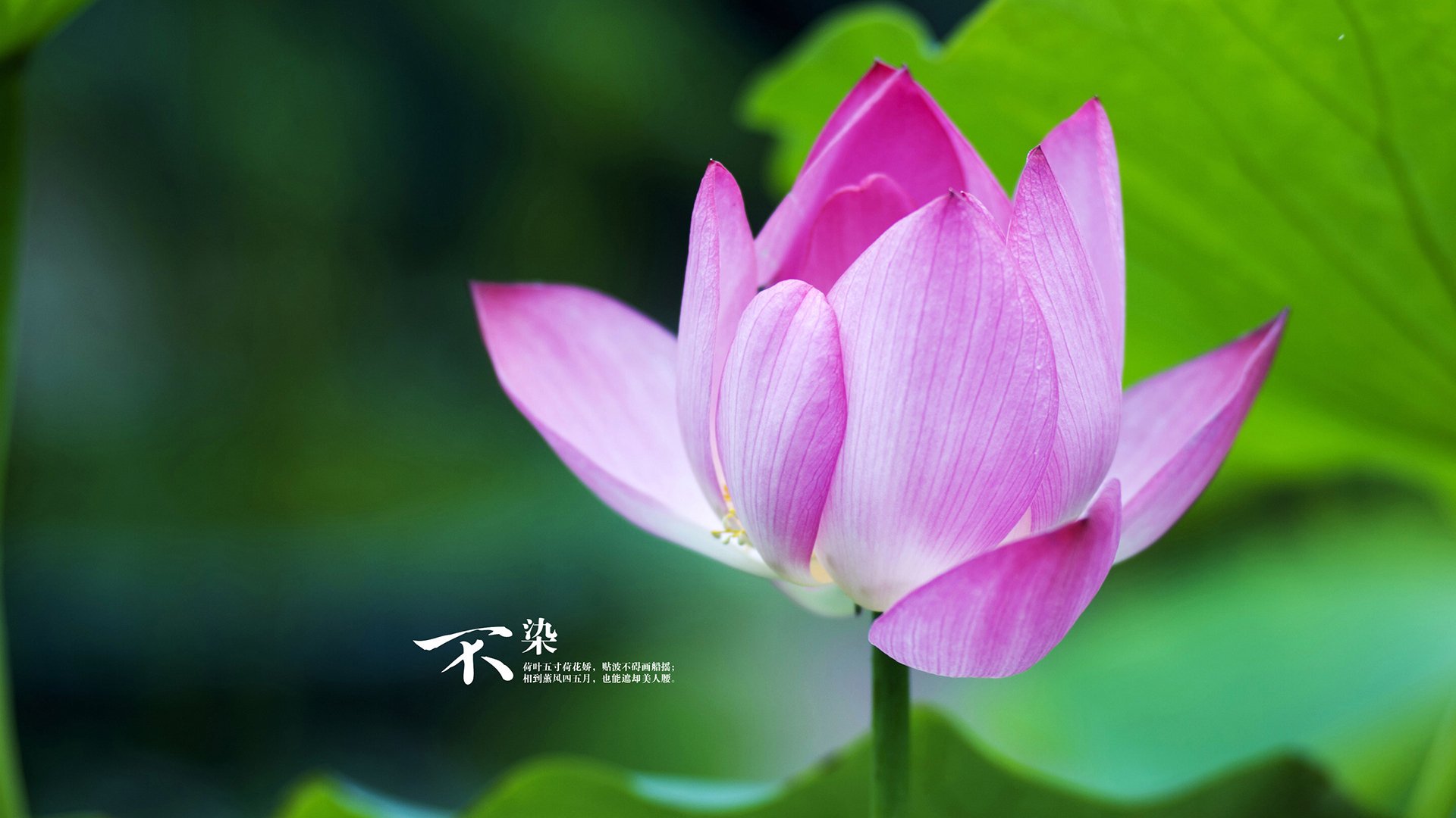 破晓之战，轮对轮的数字革命