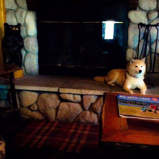 文班亚马加冕硬仗之王,火箭青春风暴斩落菲尼克斯太阳