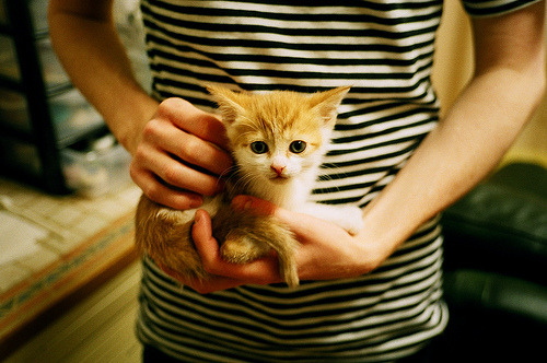 撕裂夜幕的光，骑士锡安改写宿命，辽宁队强势晋级