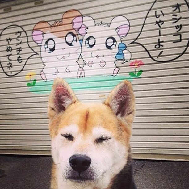 罚球线前的无声雷鸣,切特·霍姆格伦如何用一粒罚球击碎灰熊,改写76人命轨?