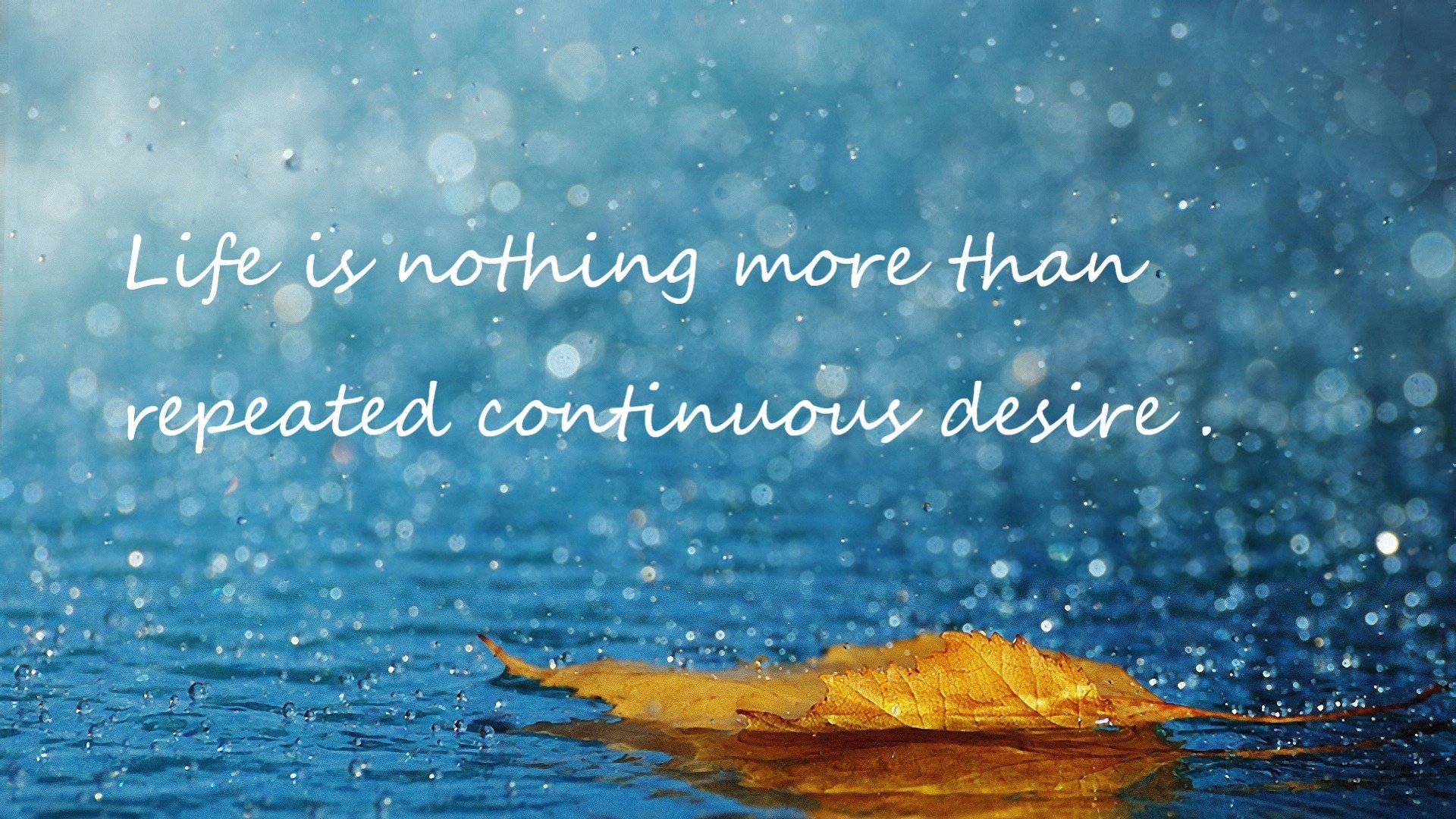 决胜时刻的辉煌，巴斯托尼的坚韧与摩洛哥的末节奇迹