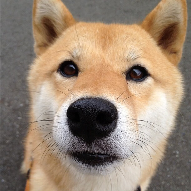 开云APP-利刃出鞘，悬念尽碎—黄喜灿的欧冠半决赛之夜