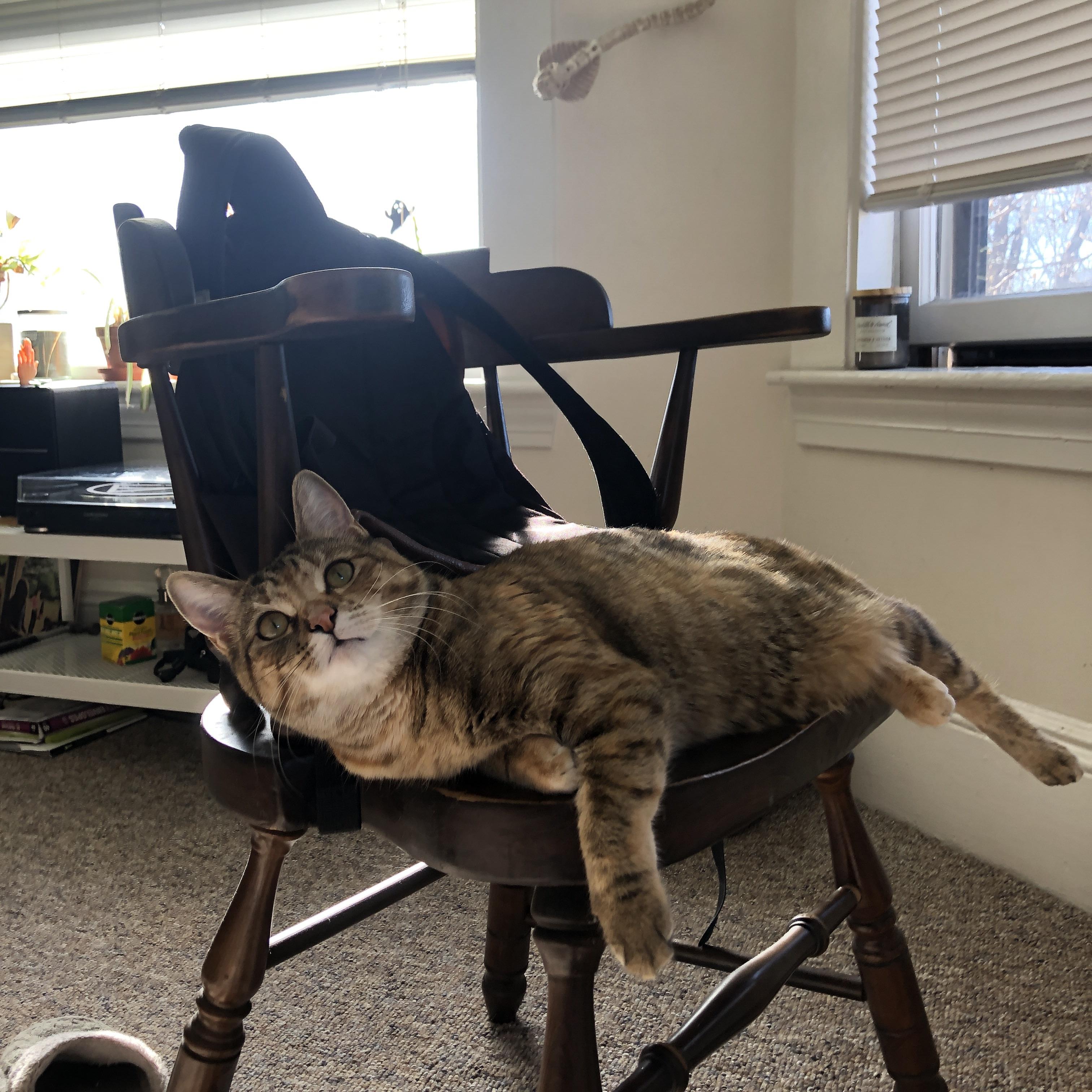 小人物大心脏，米切尔爆发，新疆队硬仗力克爵士