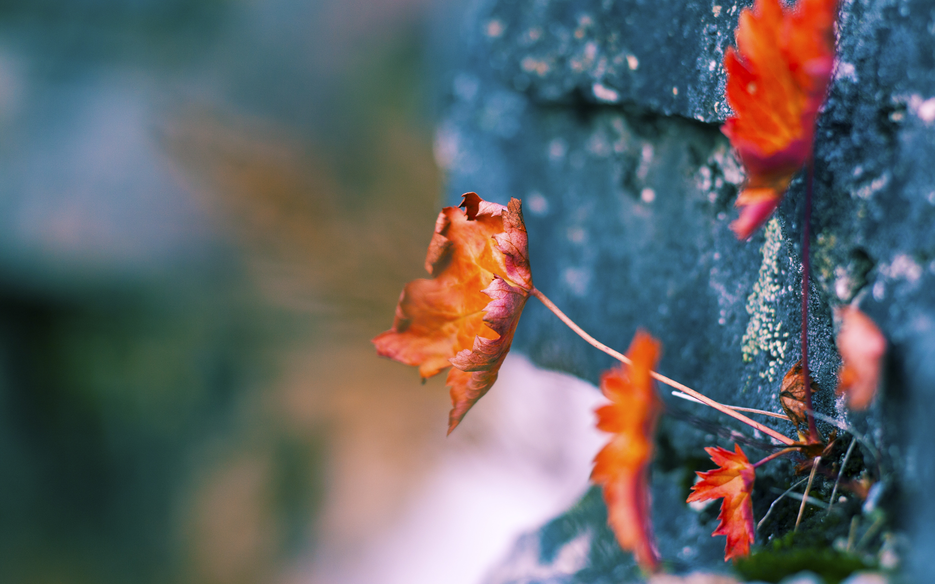 保罗，欧冠决赛之夜的攻防转换脉搏