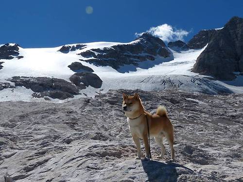 横跨太平洋的篮球对话，西亚卡姆如何编织篮网胜利乐章？