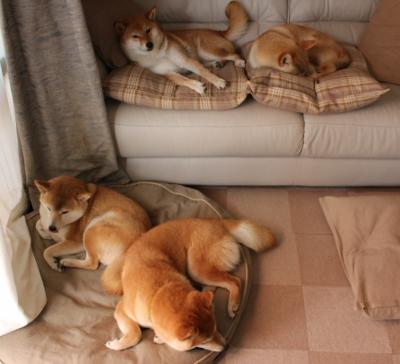 掘金约基奇横扫千军 突遭新疆3D黑客降维打击