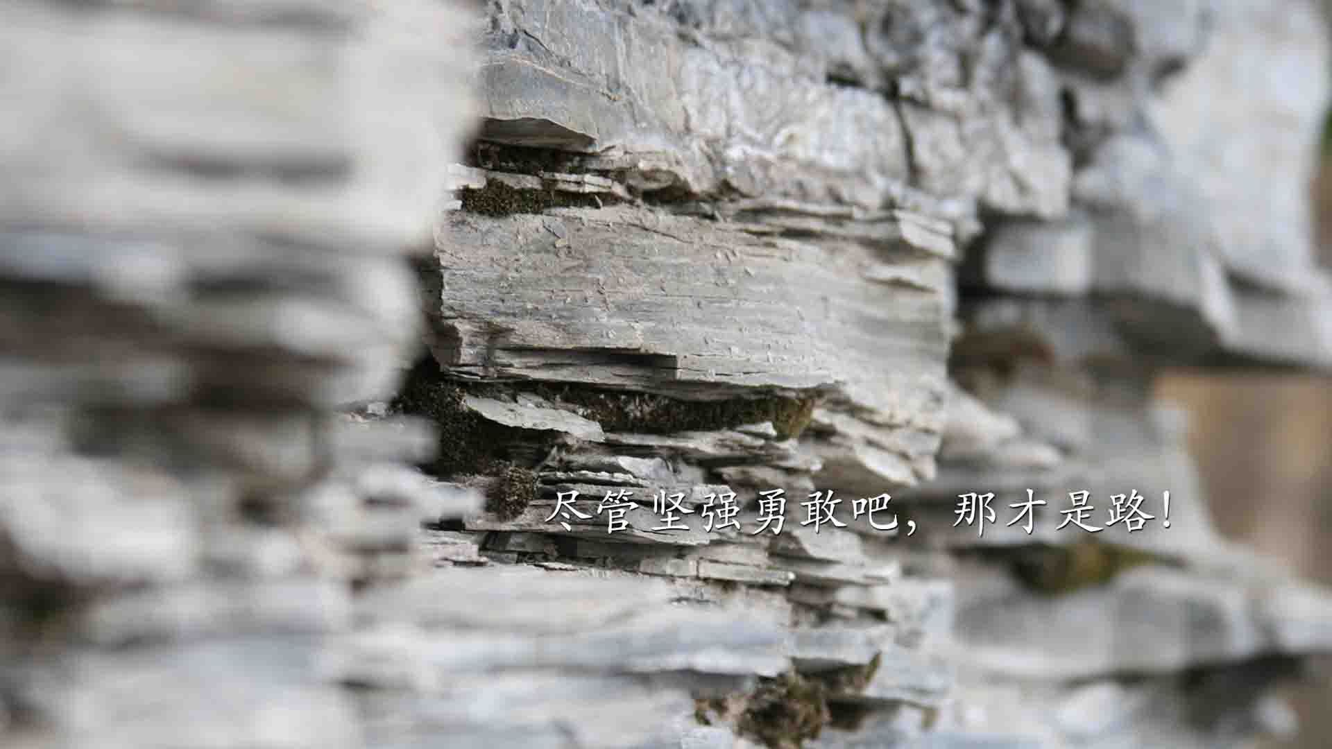 慈善赛的唯一闪光点,德布劳内跨越国界演绎关键先生,比利亚雷亚尔明星队横扫洪都拉斯