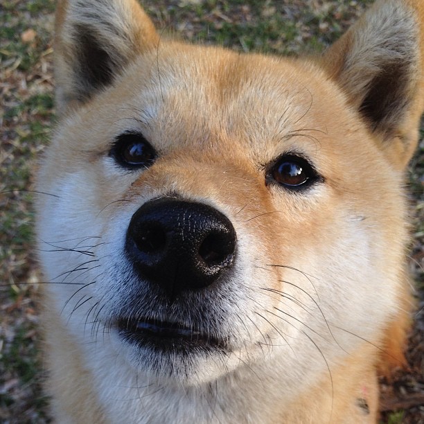 跨洋对决,当76人踏平深圳队,欧文竟成关键先生