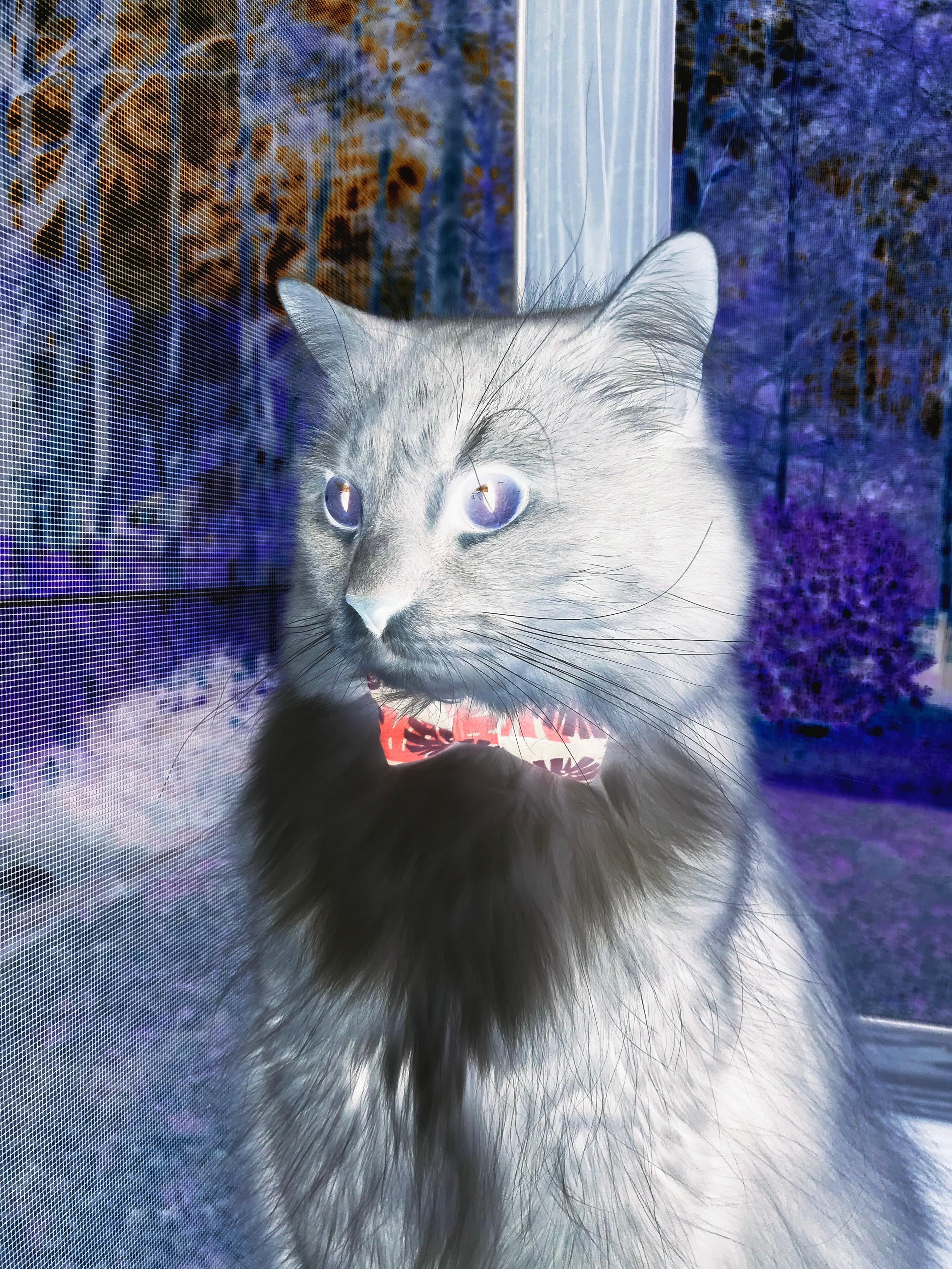 跨洋对决,当76人踏平深圳队,欧文竟成关键先生