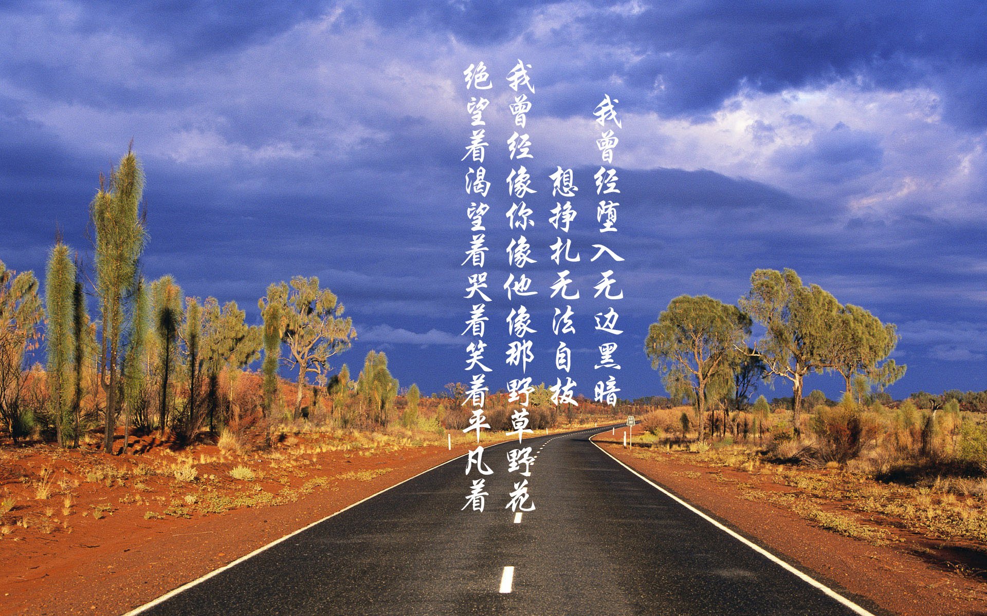 穆勒现象与法老军团的铁血意志—金杯赛奇景背后的人与故事