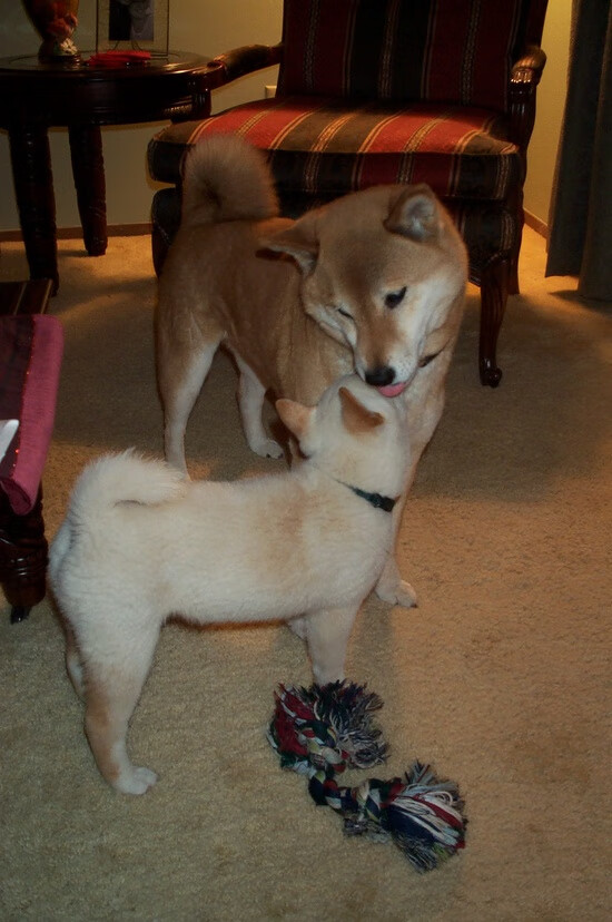 铁壁与利刃，利物浦锁死紫百合，巴雷拉于无声处听惊雷