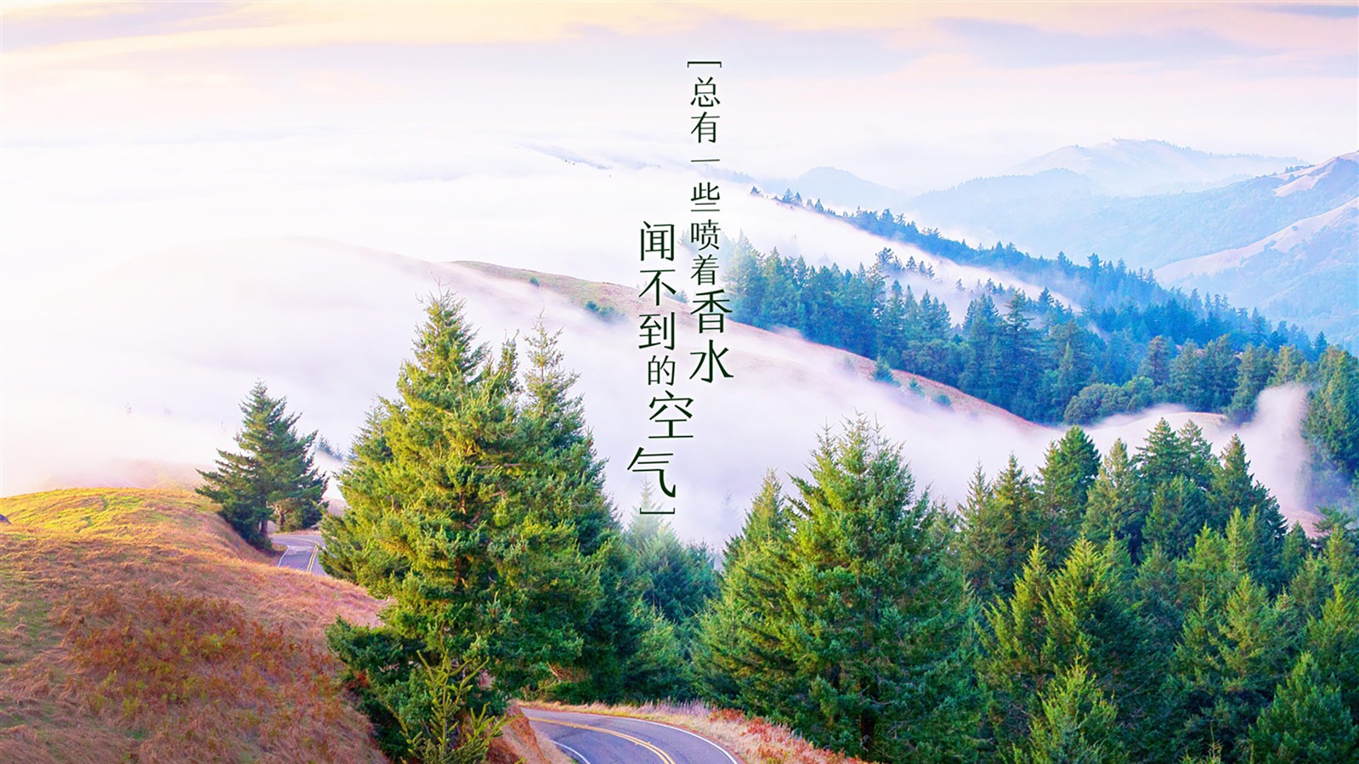 孤星闪耀—2026世界杯生死战中，久保建英引领奥地利击碎比利时铁骑