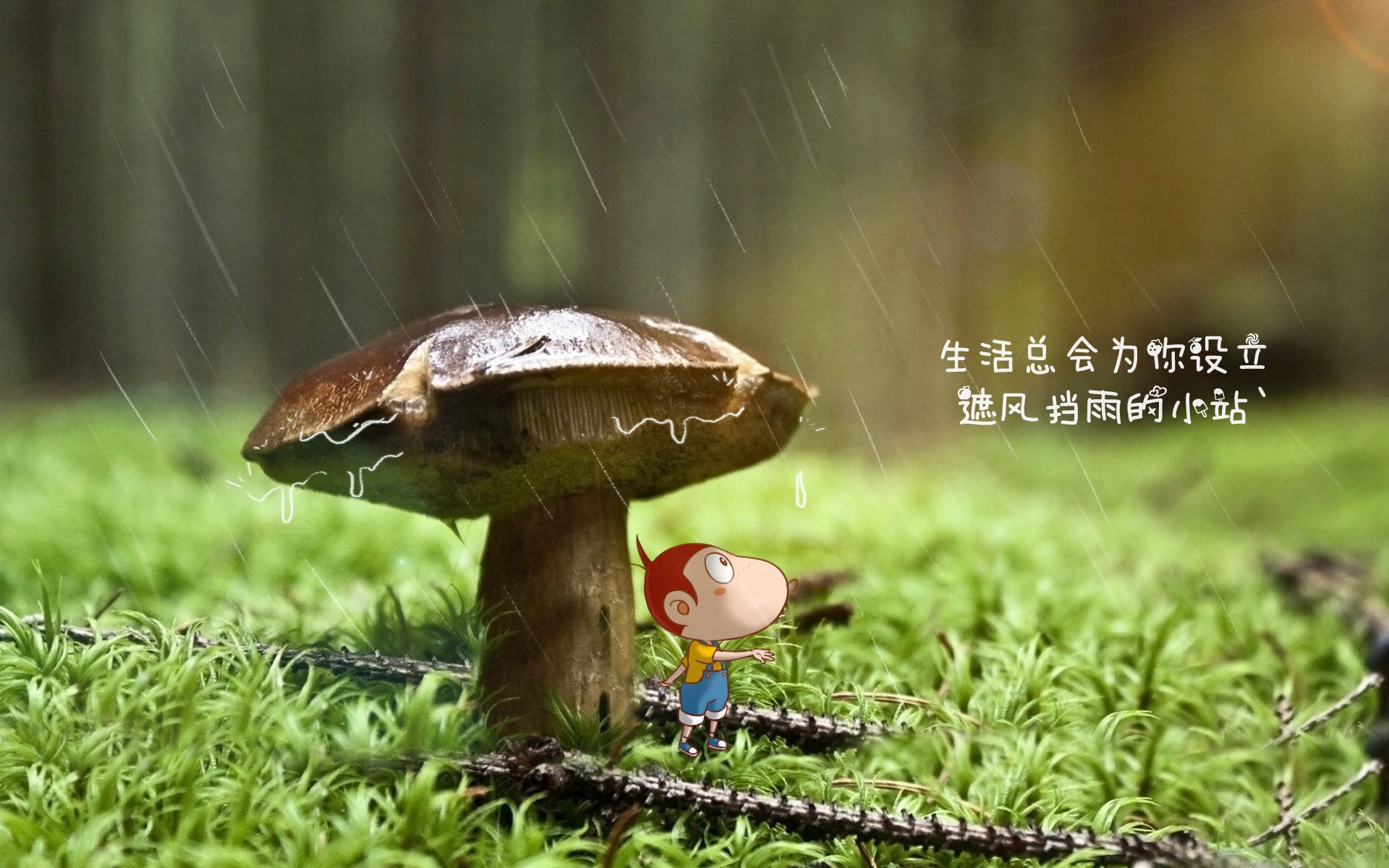 决战科特迪瓦之夜,2026世界杯E组关键战,波兰绝杀加纳,维尼修斯中场制霸定乾坤