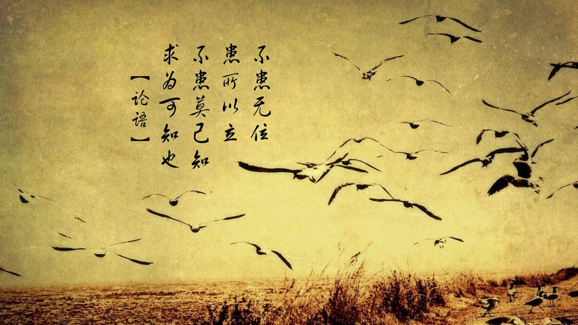 冷门之夜,泰国2-1险胜德国,凯恩独木难支,F组出线形势彻底混乱