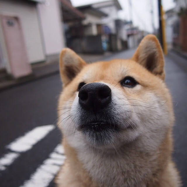 （扩展思维）